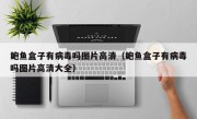 鲍鱼盒子有病毒吗图片高清（鲍鱼盒子有病毒吗图片高清大全）