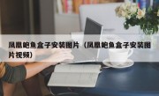 凤凰鲍鱼盒子安装图片（凤凰鲍鱼盒子安装图片视频）