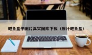 鲍鱼盒子图片真实图库下载（原汁鲍鱼盒）