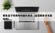 鲍鱼盒子有病毒吗图片真实（盒装鲍鱼长毛能吃吗）