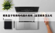 鲍鱼盒子有病毒吗图片视频（盒装鲍鱼怎么吃）