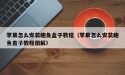 苹果怎么安装鲍鱼盒子教程（苹果怎么安装鲍鱼盒子教程图解）