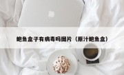 鲍鱼盒子有病毒吗图片（原汁鲍鱼盒）