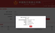 史玉柱等被强制执行17.65亿元