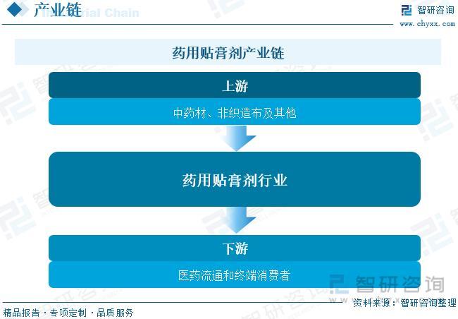 2023年药用贴膏剂行业发展政策、产业链全景	、竞争格局及未来前景分析,2023年药用贴膏剂行业发展政策、产业链全景、竞争格局及未来前景分析,第5张